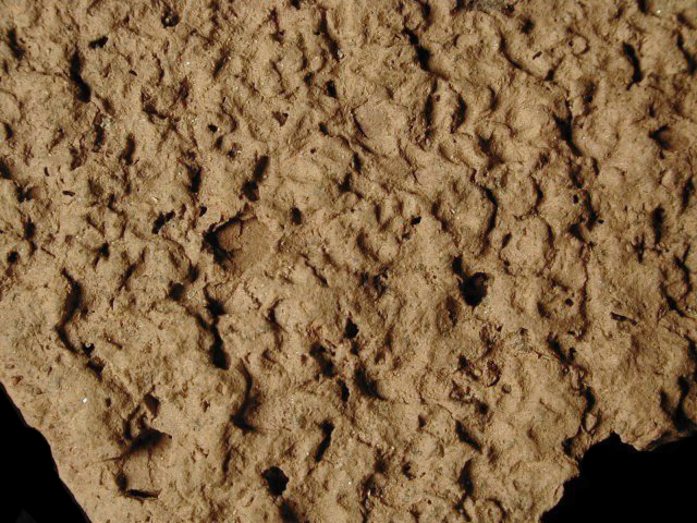 Closeup of Mockley net-impressed body sherd from Dorr Site 18AN19/133.
